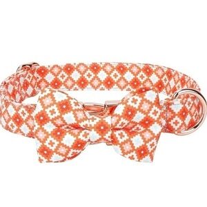 Bow tie Dog Collar Size M